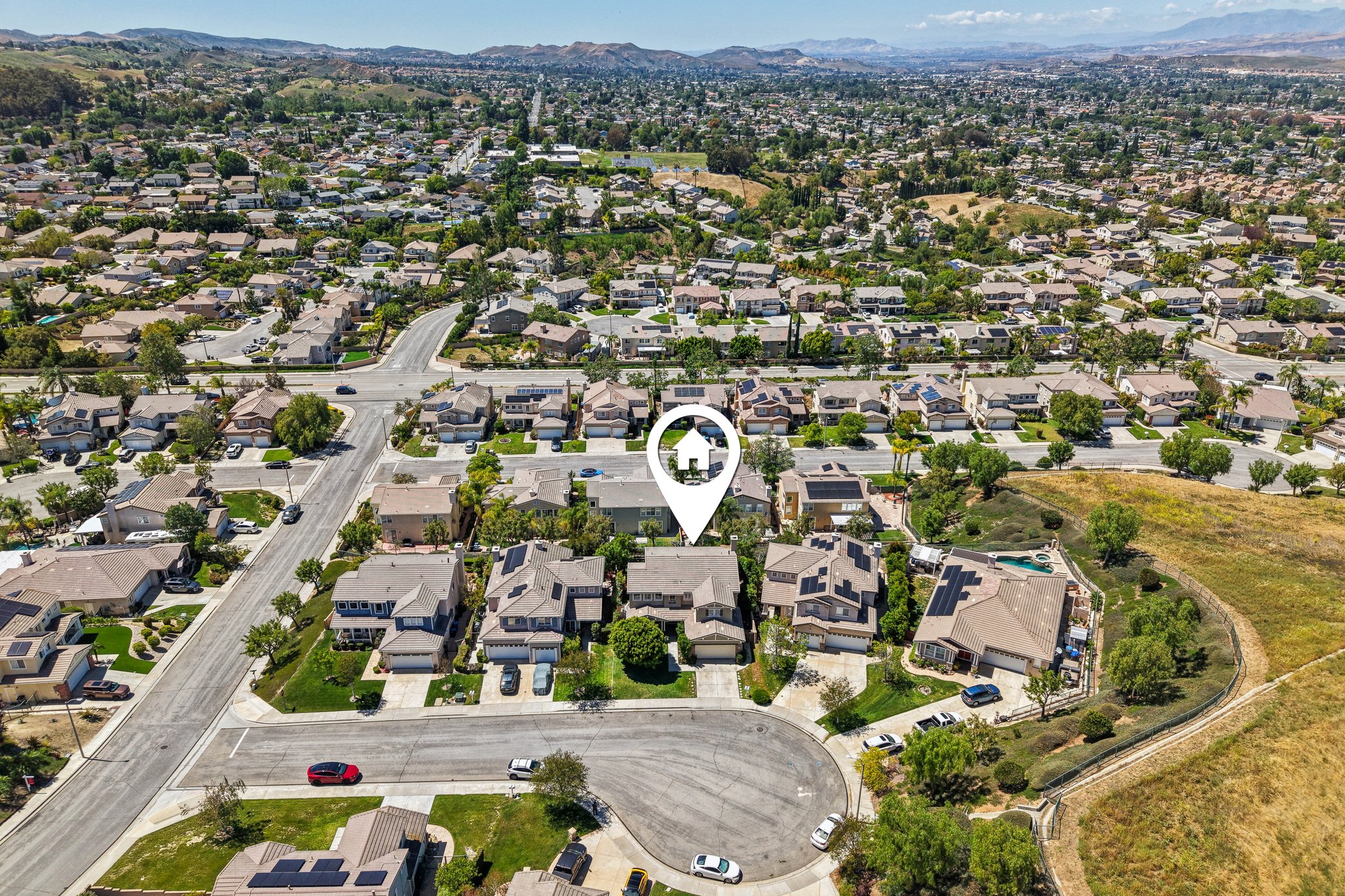 Poppy Tree Pl-S1504-053.jpg