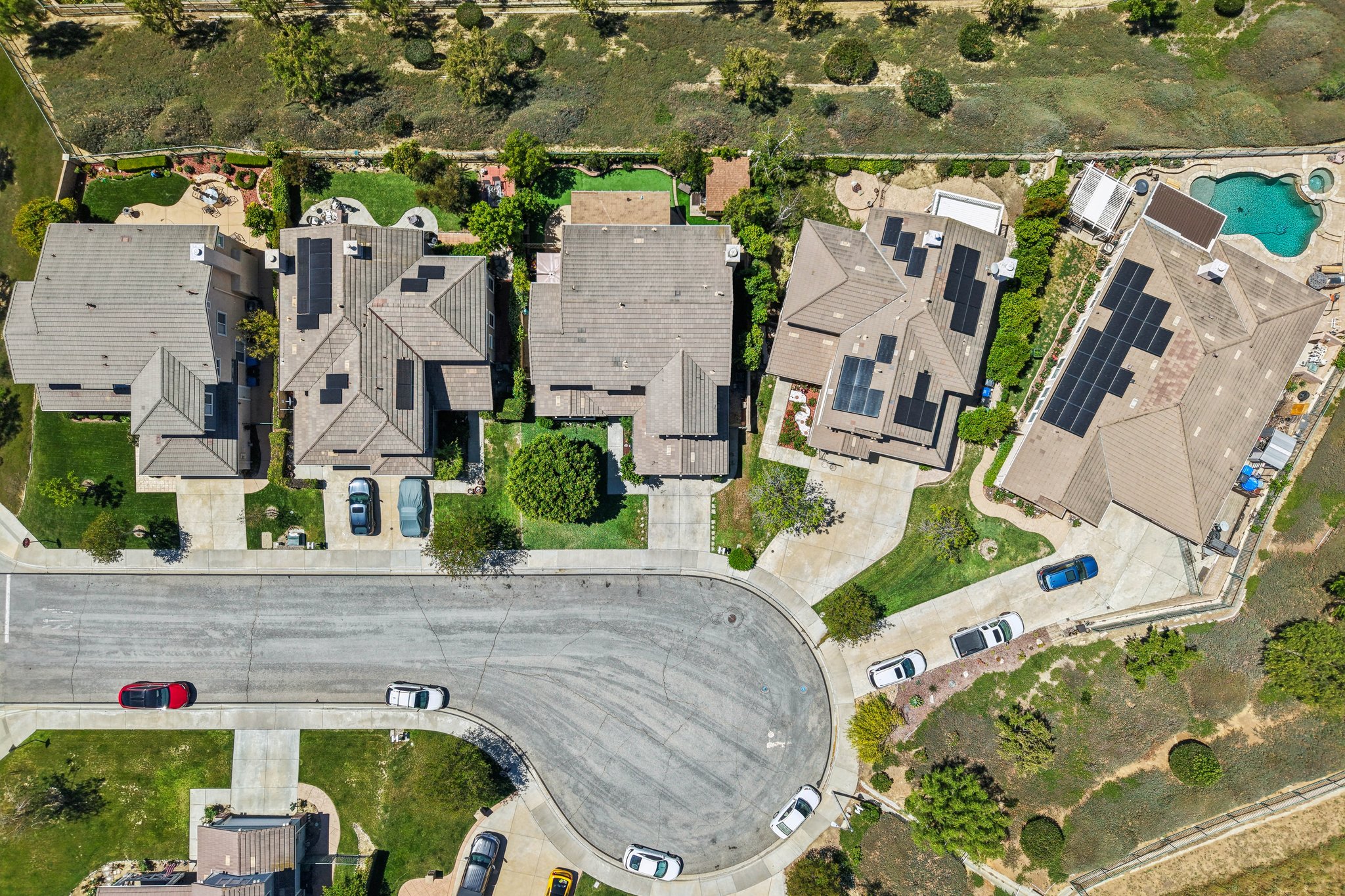 Poppy Tree Pl-S1504-054.jpg