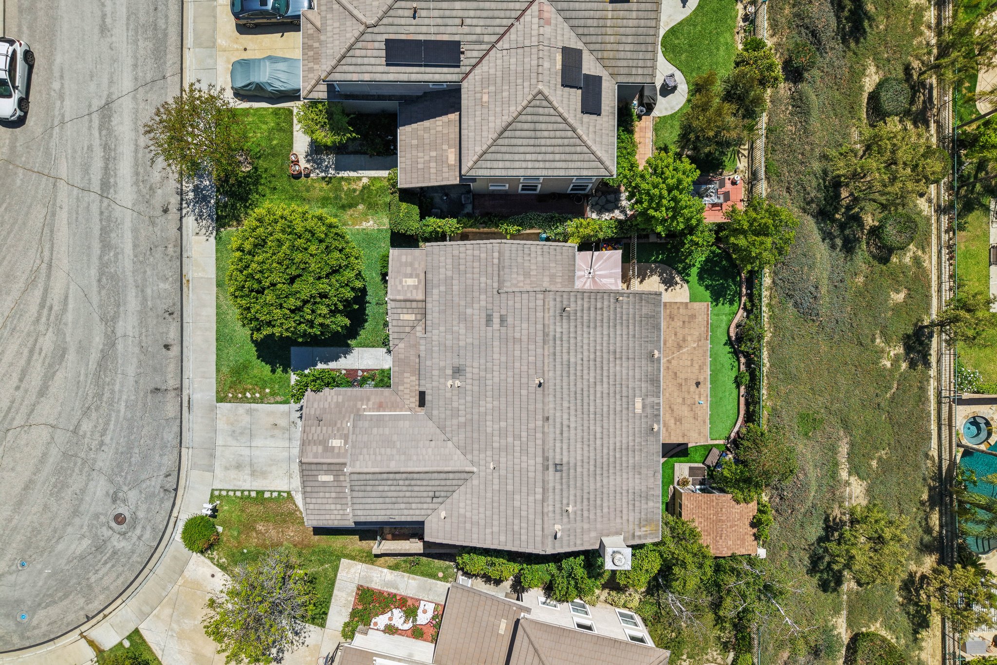 Poppy Tree Pl-S1504-055.jpg