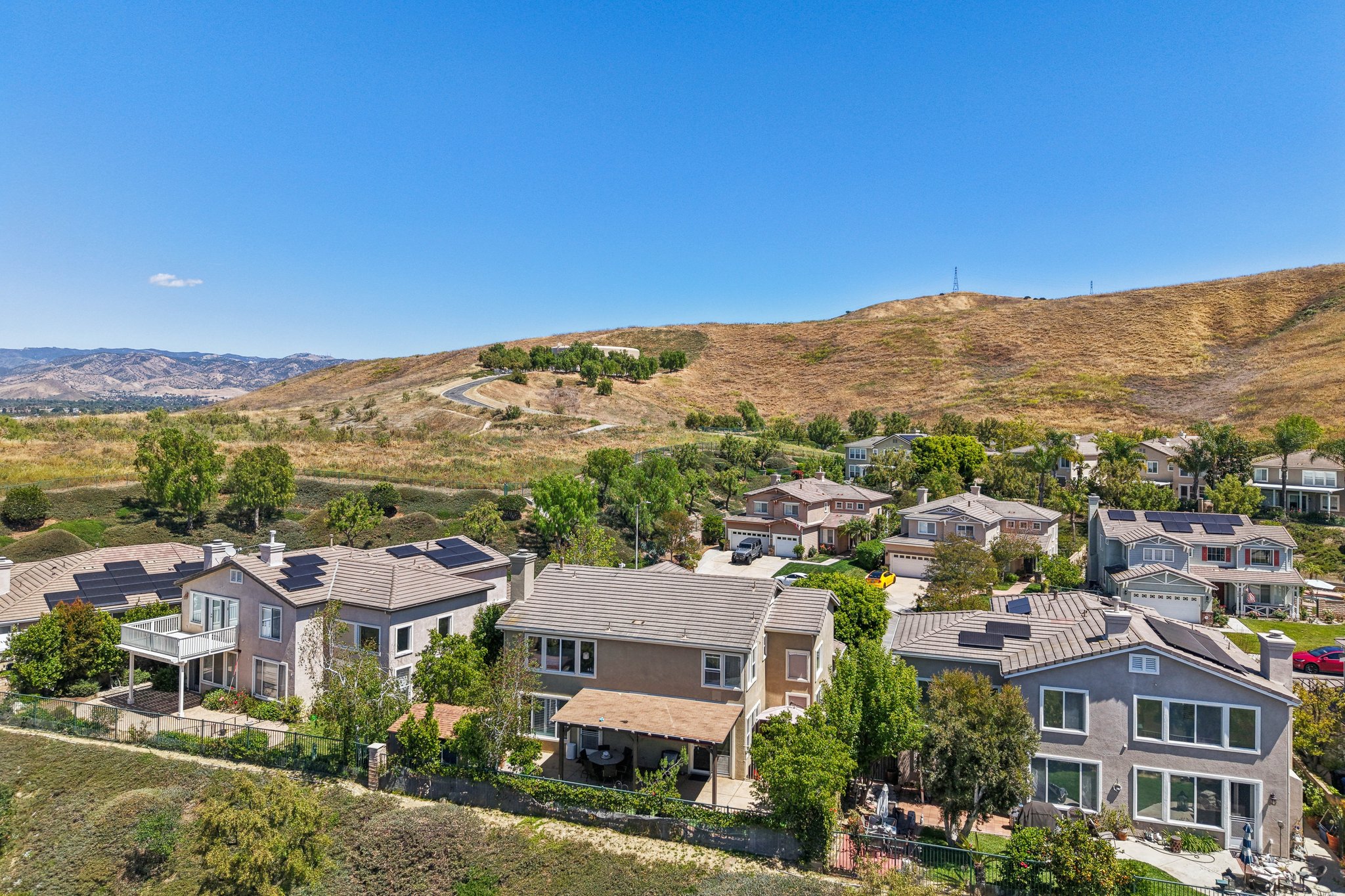 Poppy Tree Pl-S1504-058.jpg