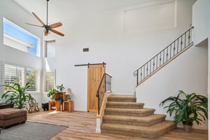 Poppy Tree Pl-S1504-009.jpg