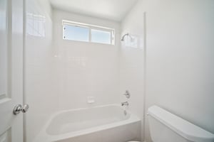 Poppy Tree Pl-S1504-037.jpg