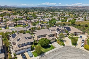 Poppy Tree Pl-S1504-051.jpg