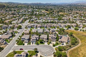 Poppy Tree Pl-S1504-052.jpg