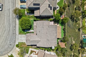 Poppy Tree Pl-S1504-055.jpg