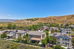 Poppy Tree Pl-S1504-058.jpg