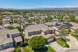 Poppy Tree Pl-S1504-059.jpg