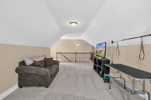 121 Bent Willow Way-44