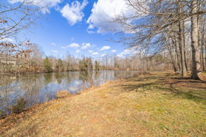 121 Bent Willow Way-60