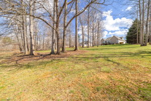 121 Bent Willow Way-61