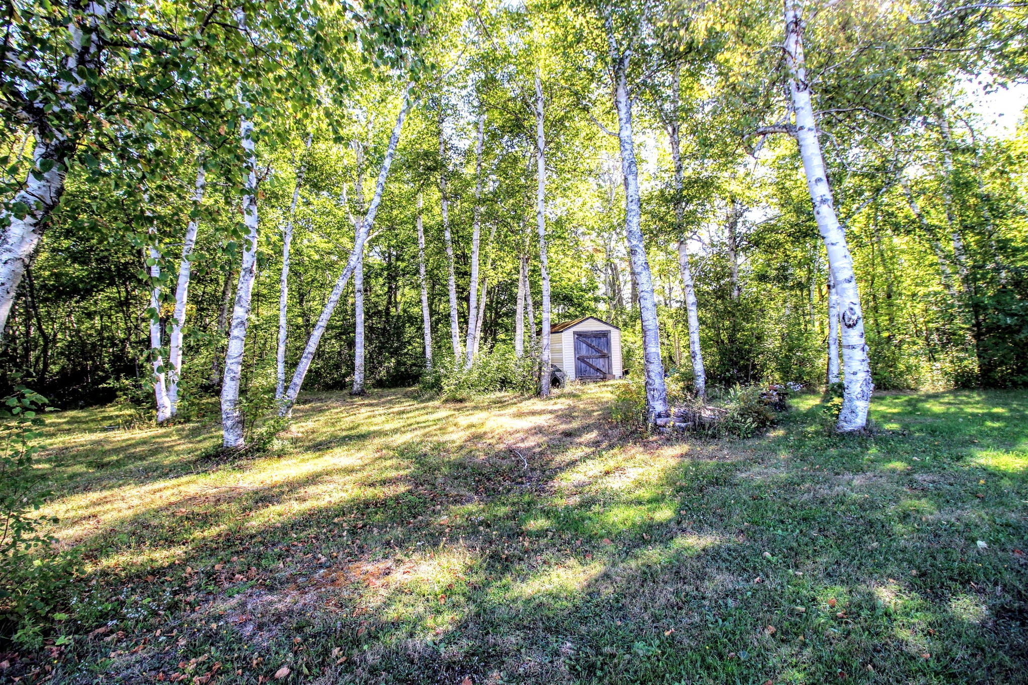 121 Chem. Alma, Dixon Point, NB E4S 3X6, Canada Photo 11