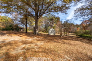 121 Dibrell Rd-23