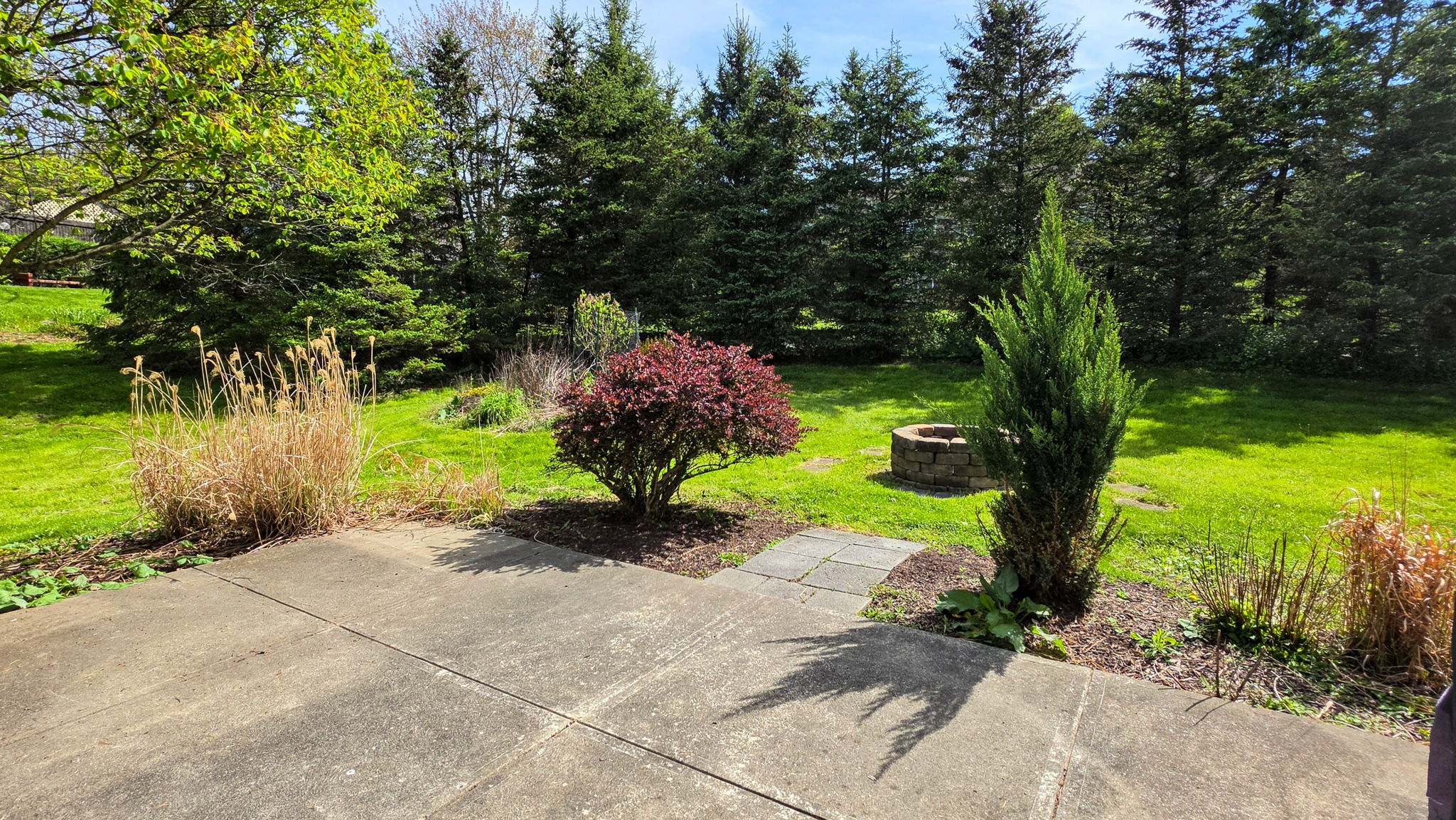  Photo 48