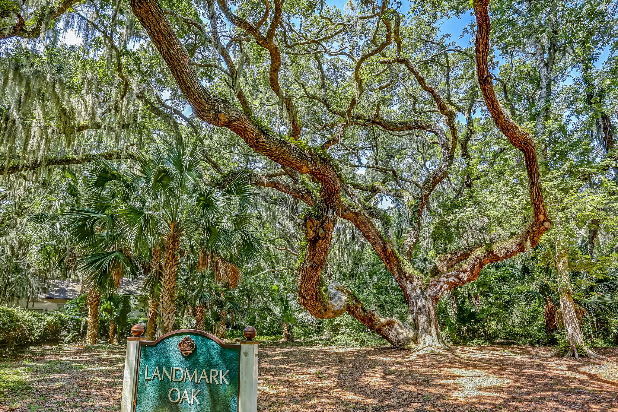 Omni Resort Amelia Island