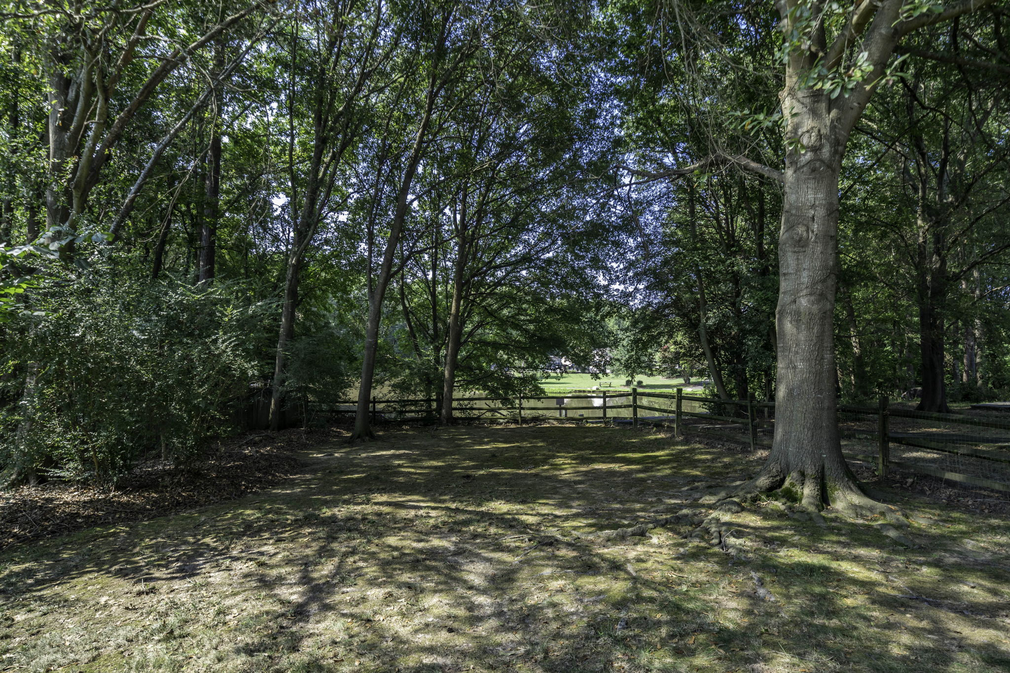  Photo 40