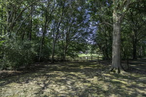  Photo 39