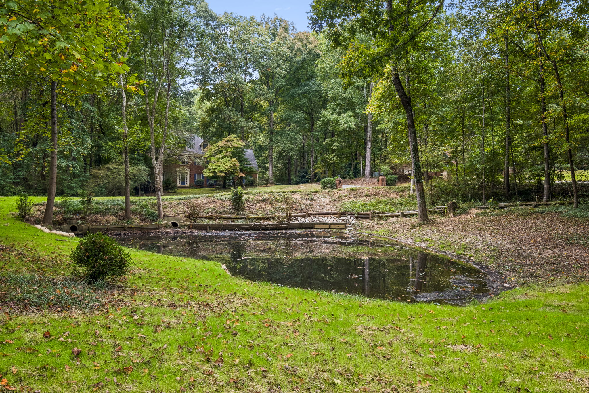 Pond