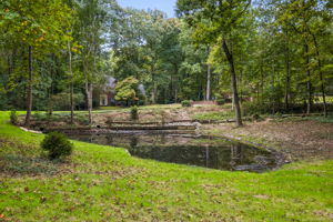 Pond