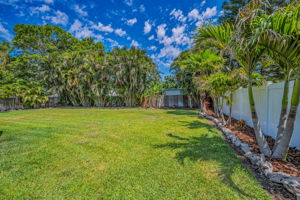 Backyard1