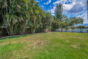 Backyard5