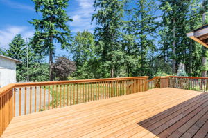 028_12124 SE 161st St  Renton