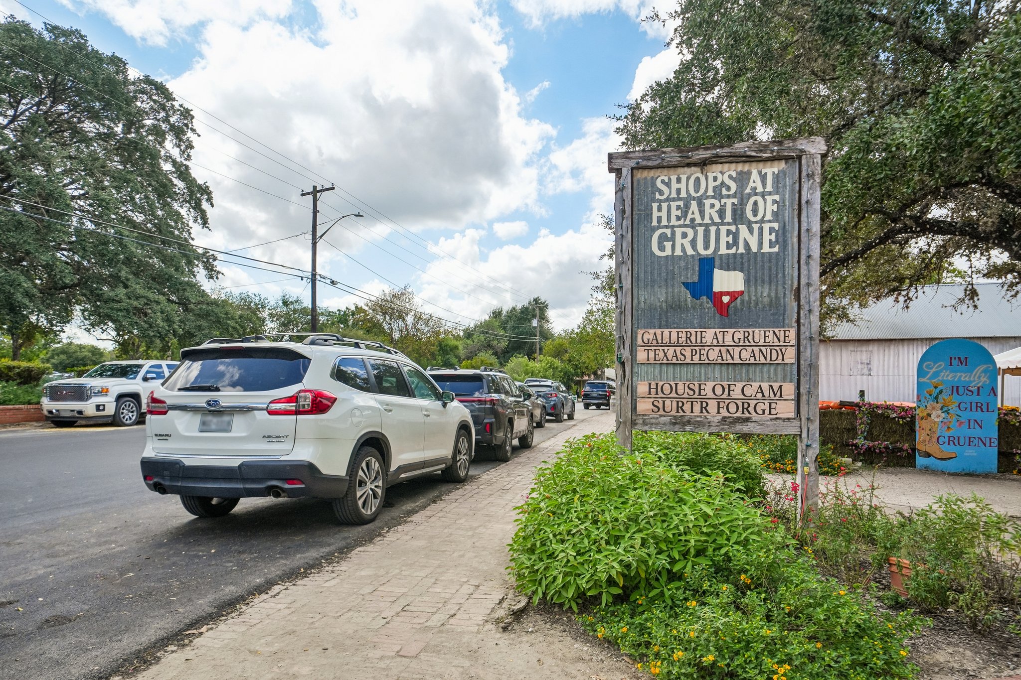Gruene Vine Ct-1410-911.jpg