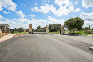 Gruene Vine Ct-1410-907.jpg