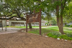 Gruene Vine Ct-1410-913.jpg