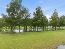  Photo 0