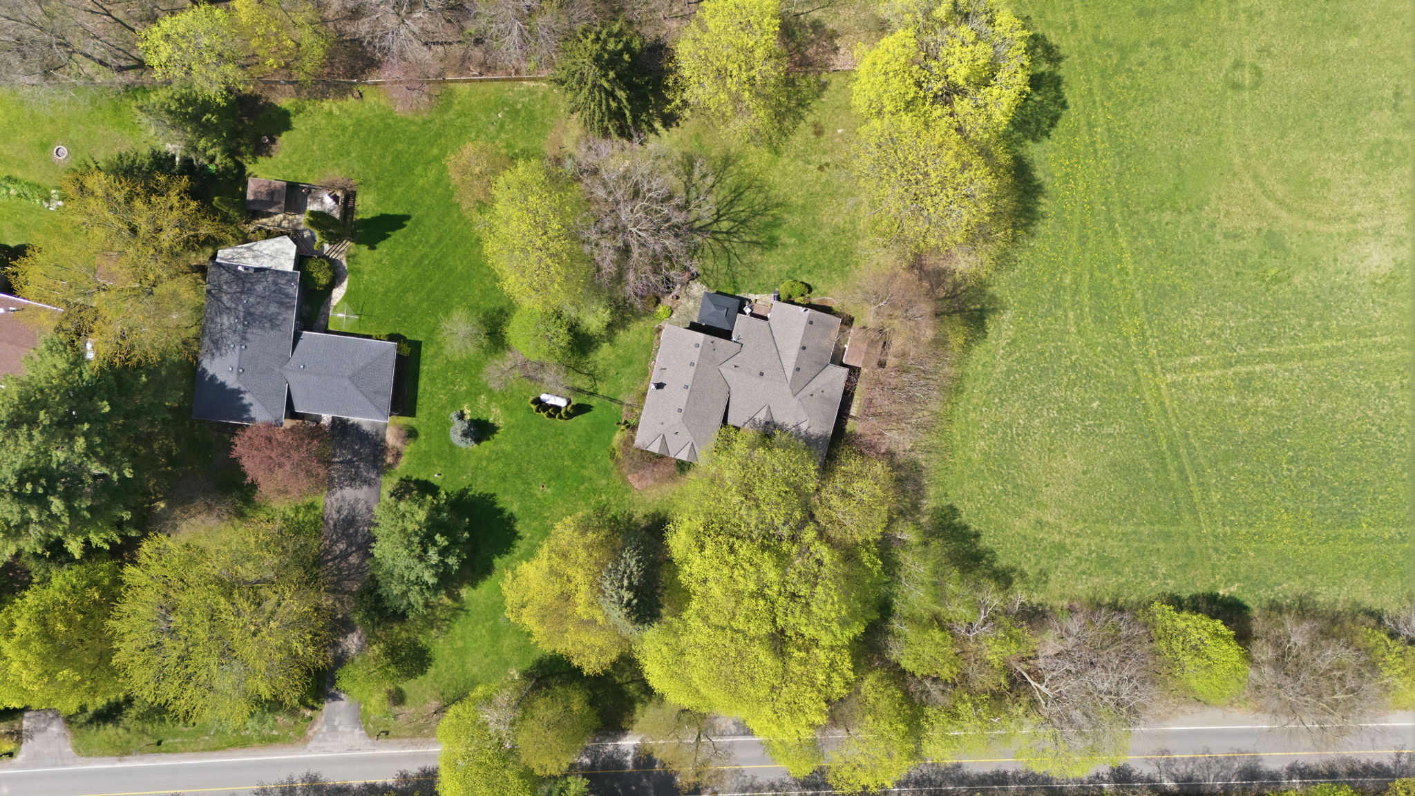  Photo 73