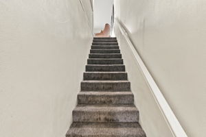 Interiors (2)