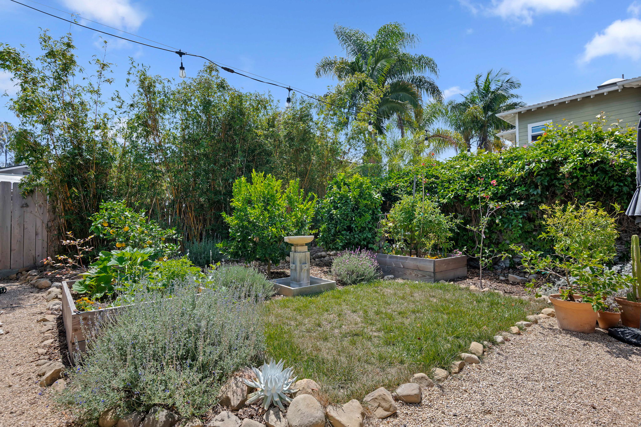 26-Back Yard