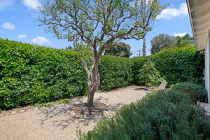05-Front Yard