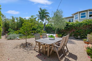 24-Back Yard