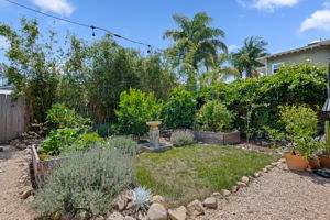 26-Back Yard