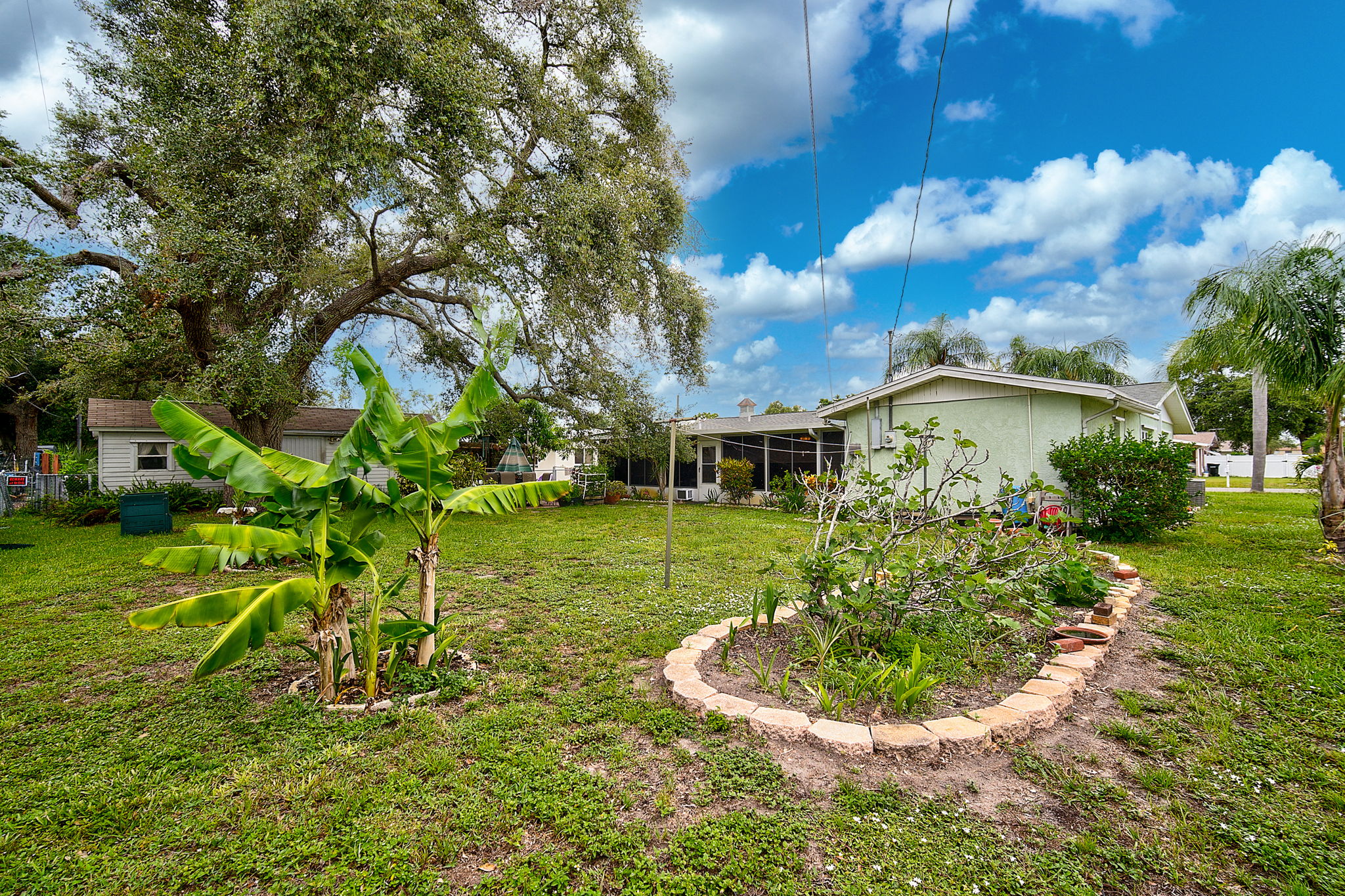 1215 Cypress Ave-31