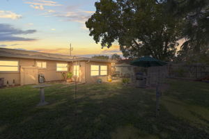 Back DTE - 495A0941 copy