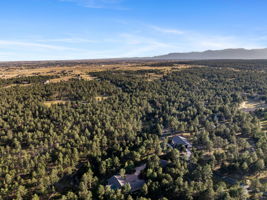 DJI_0646