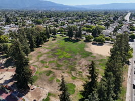  Photo 51