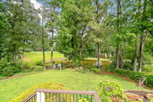 The view from the deck