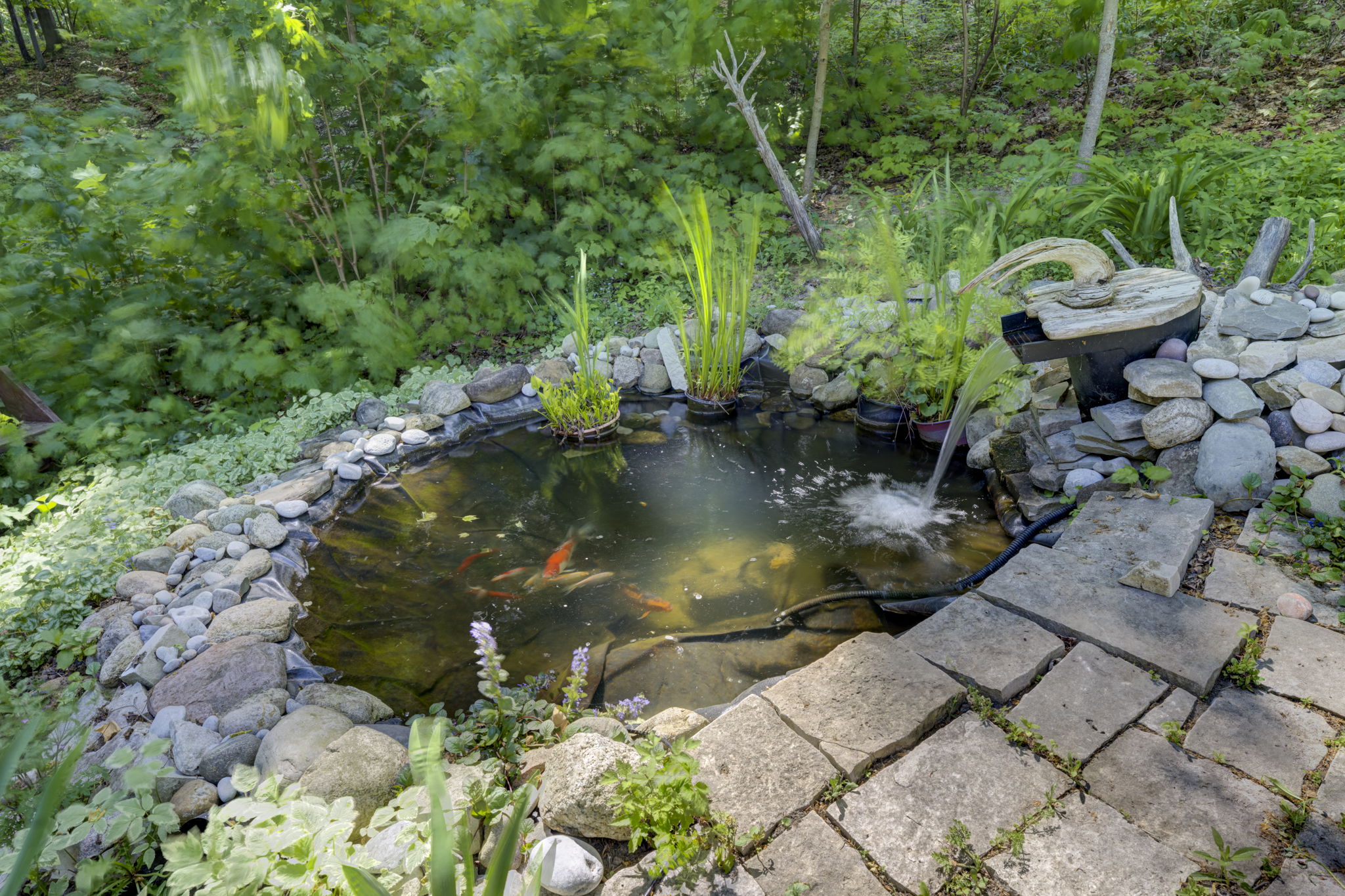 Photo 29