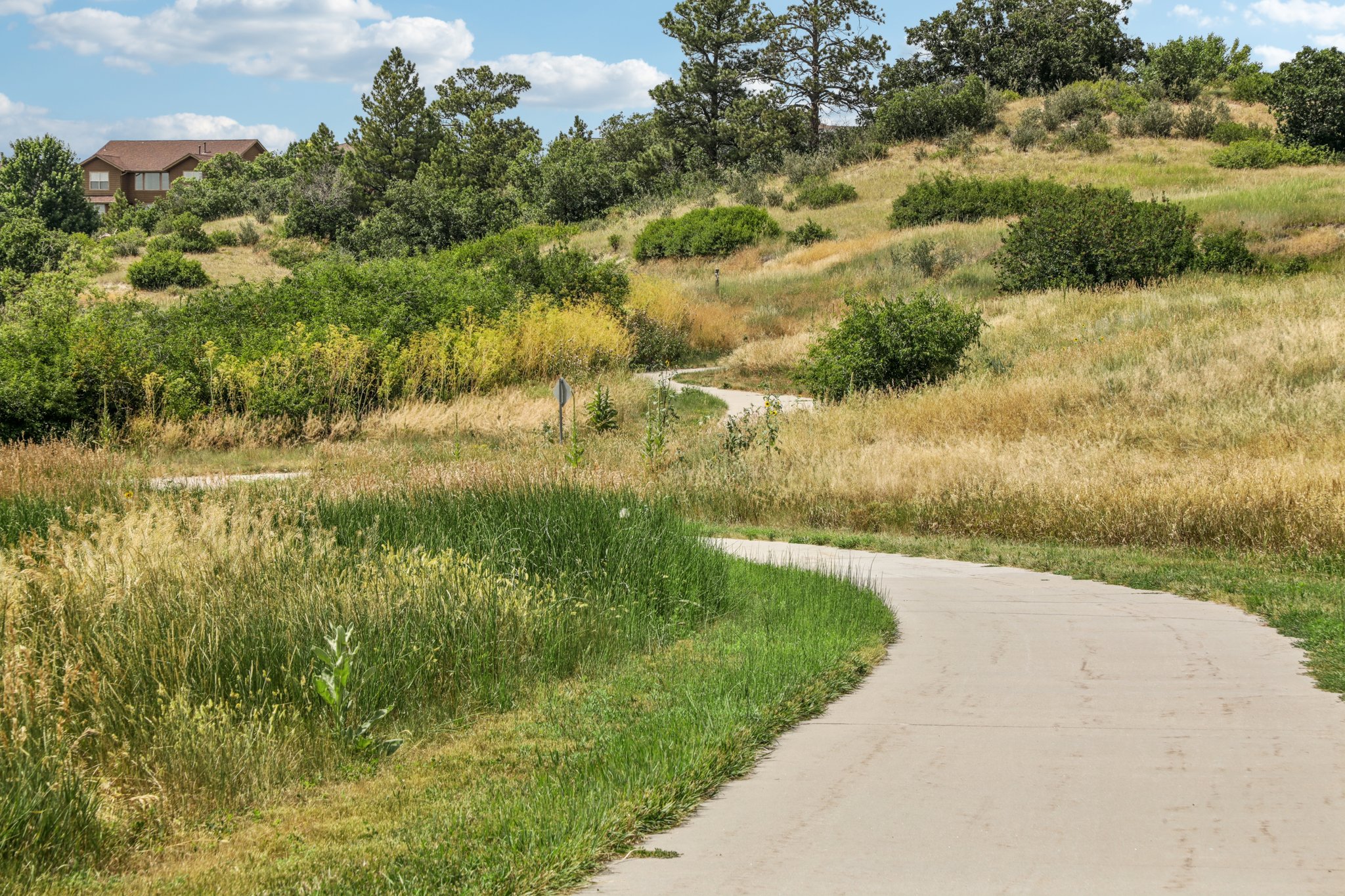 S Hidden Trail Ct-1907-919.jpg