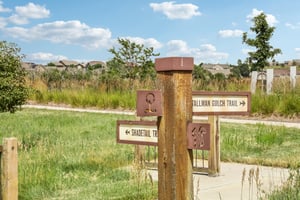 S Hidden Trail Ct-1907-913.jpg