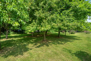  Photo 39