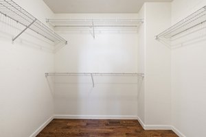 Primary Bedroom Closet