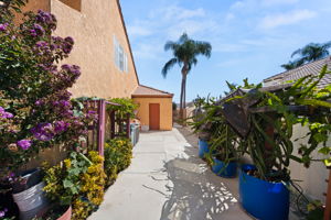  Photo 34