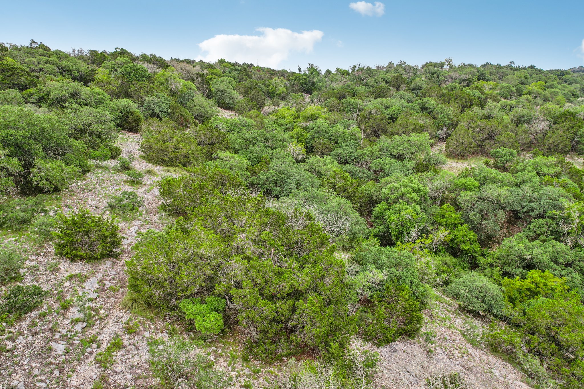 Ancient Coast Rd lot 18-021.jpg