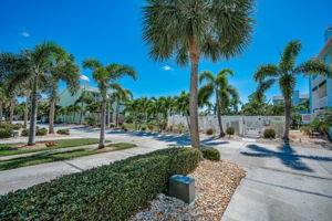 Frontyard View