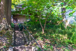 Photo 0