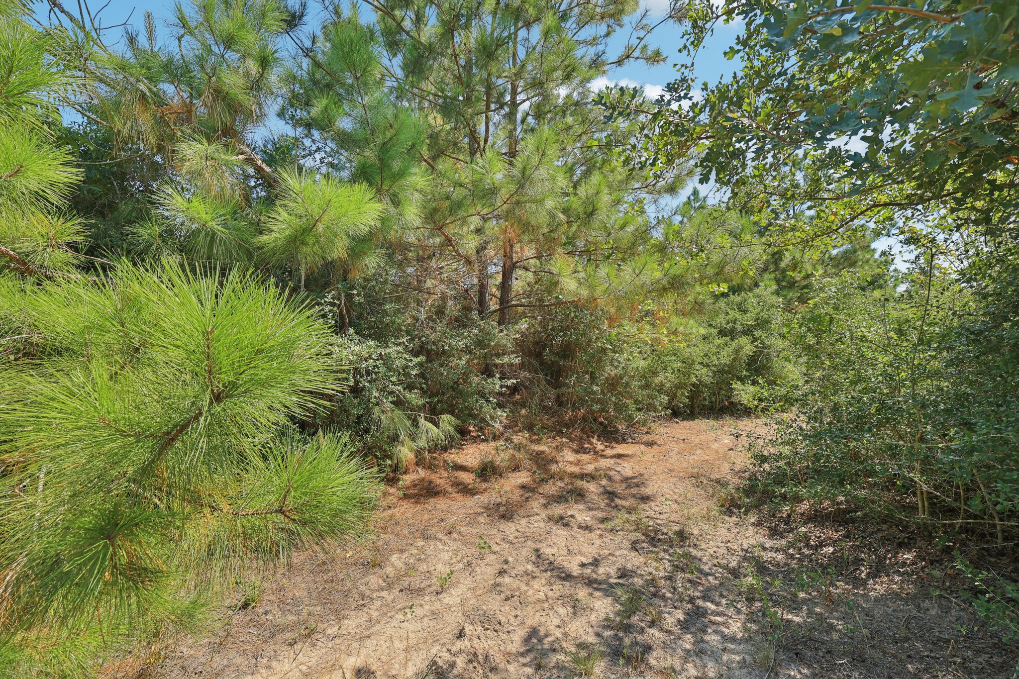 Rolling Pines Dr-S0909-049.jpg